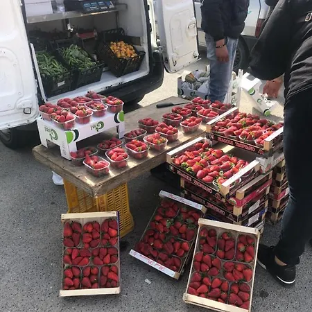 Appartamento F24 Stignano Favaco *