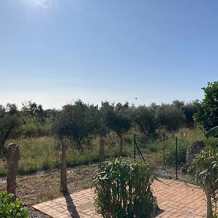 F24 Stignano Favaco Focà