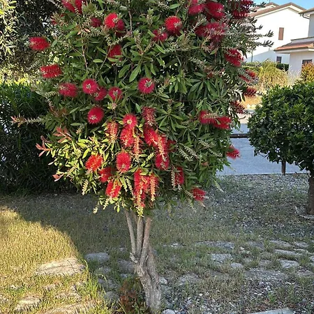 F24 Stignano Favaco *