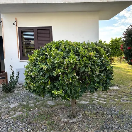 F24 Stignano Favaco Focà