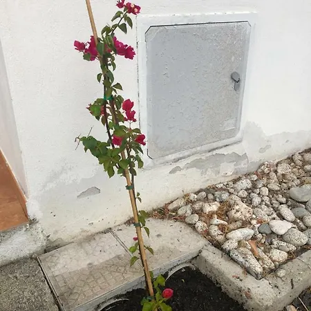 F24 Stignano Favaco Appartamento *